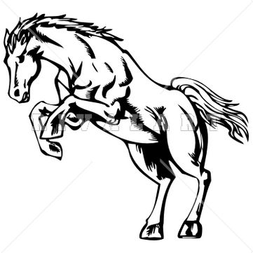 361x361 47 Best Beat A Dead Horse Tattoo Images Horse