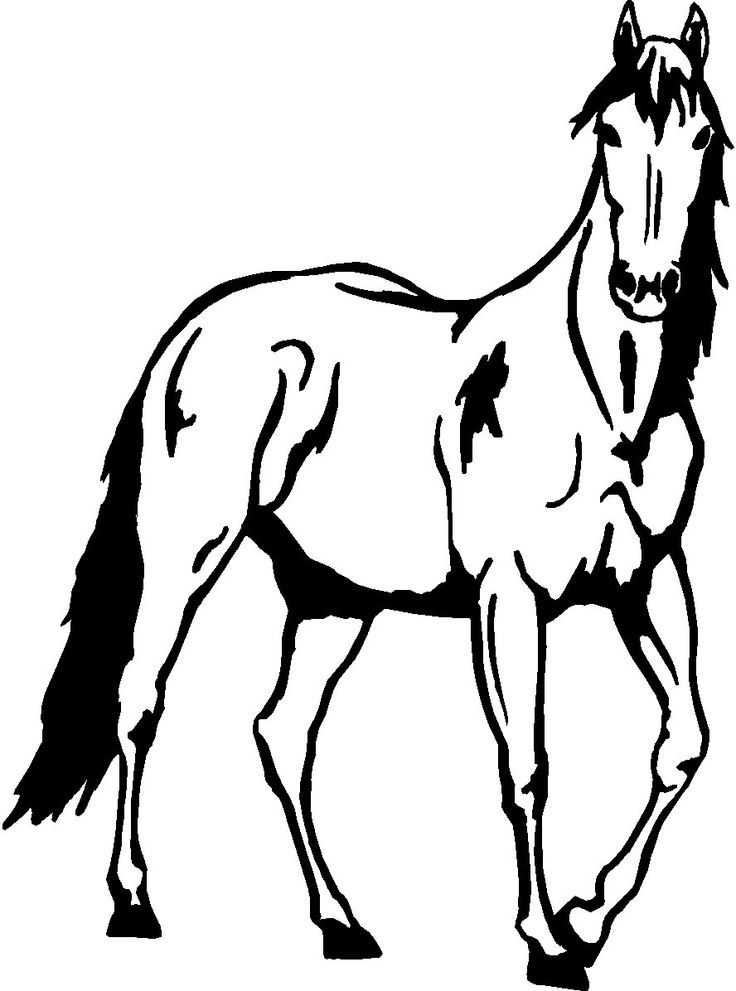 736x991 Clip Art Horse