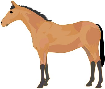 340x287 Clipart Horse Free Images