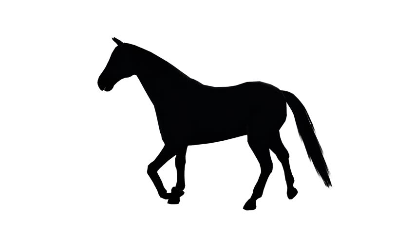 852x480 Horse Silhouette Stock Footage Video 154567 Shutterstock