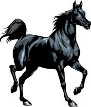 Mustang Horse Clipart | Free download on ClipArtMag