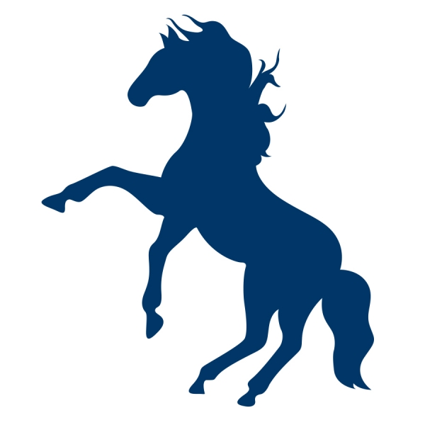 600x600 Logos Mount Mercy University