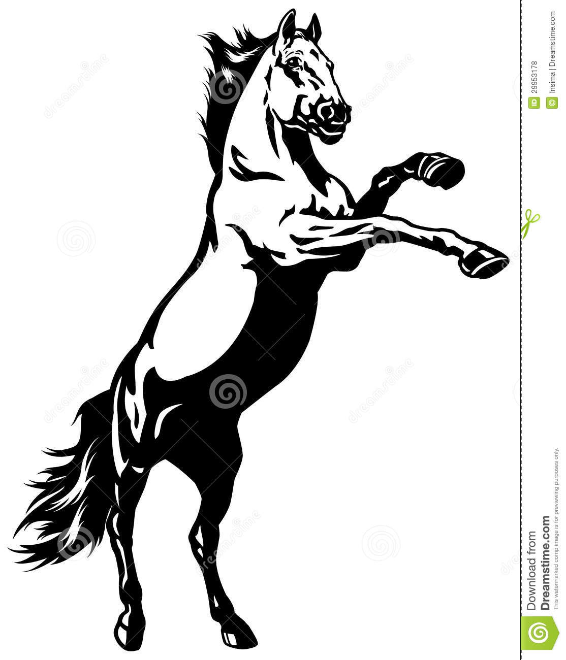 1114x1300 Horse Pictures Free