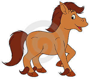 300x265 Pony Clipart