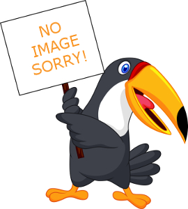 270x300 Hill Mynahs For Sale