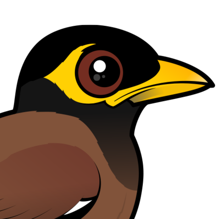 Mynah Bird Clipart | Free download on ClipArtMag