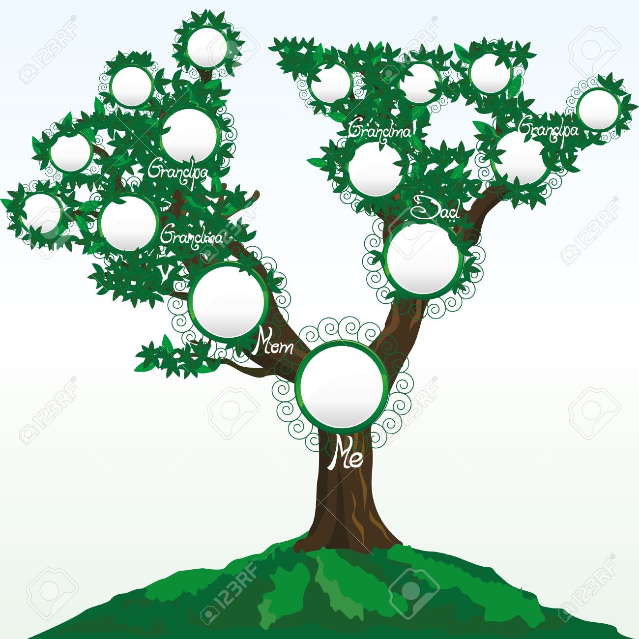 1300x1300 Family Tree With Place For Photos Or Names Royalty Free Cliparts