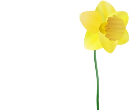 425x368 Daffodil Clip Art Art Reference Flowers Daffodils