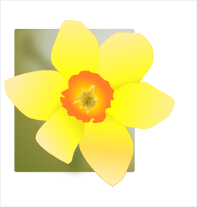 285x299 Daffodil Clip Art Free Vector 4vector