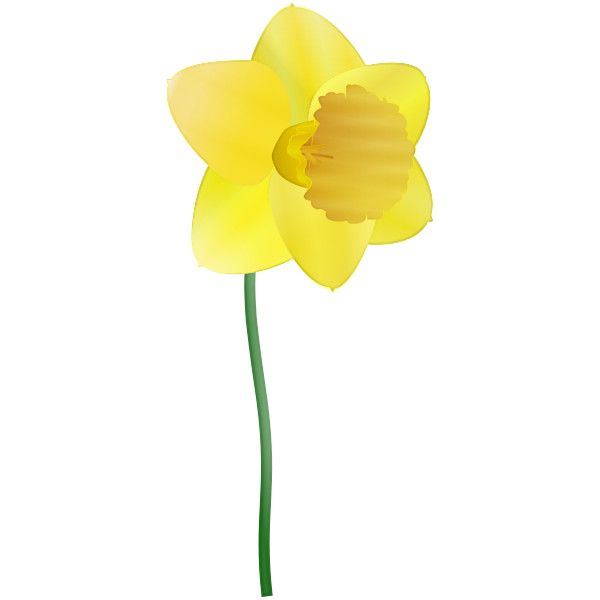 Narcissus Flower Clipart | Free download on ClipArtMag