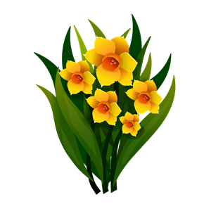 300x300 Yellow Flower Clipart Narcissus Flower