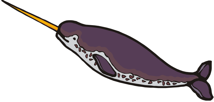 750x357 Narwhal Clipart Panda