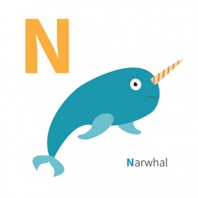 288x288 Narwhal Clip Art Free Clipart Images 4