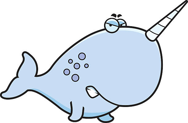 612x399 Narwhal Clipart I Love