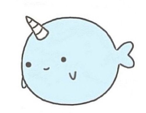 500x388 Narwhal Clipart Real Life