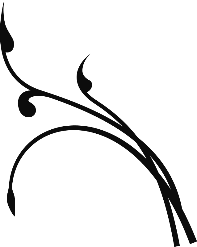 638x800 Narwhal Clip Art