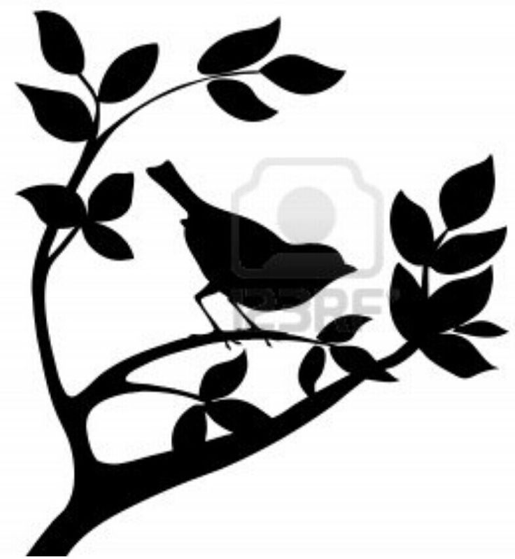 736x798 107 Best Silhouettes Images Adhesive, Business