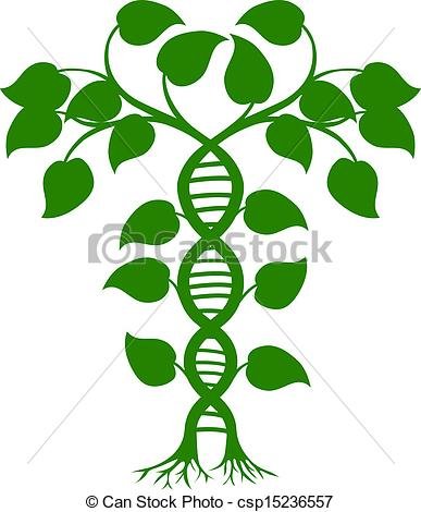 387x470 Amazing Clip Art Nature