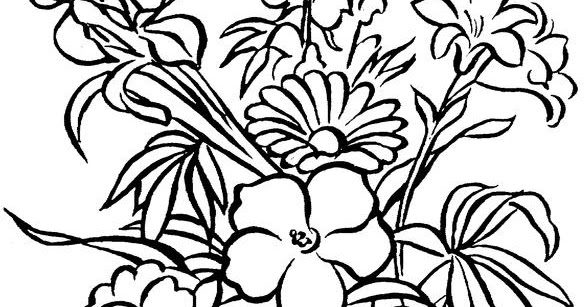 585x307 Coloring Book For Seniors Nature Men By Of Pages We Are All