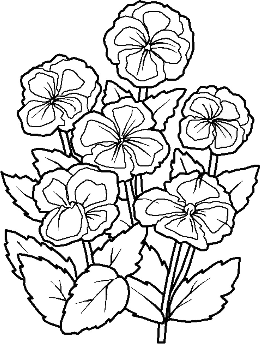 907x1200 Nature Coloring Pages
