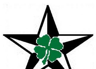 324x235 Star Tattoos