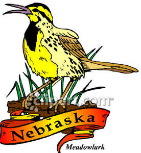 276x300 Meadowlark, The State Bird Of Nebraska