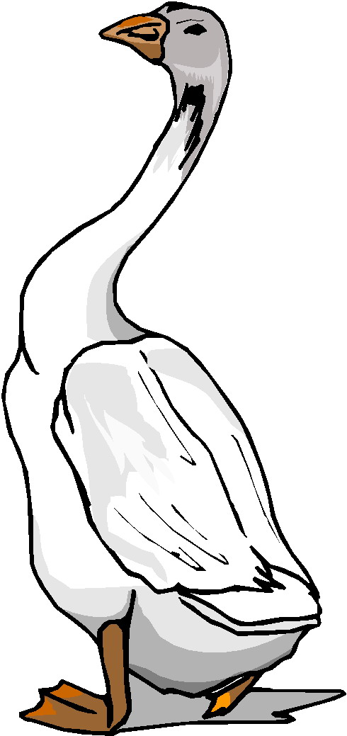 490x1039 Long Neck Goose Clipart