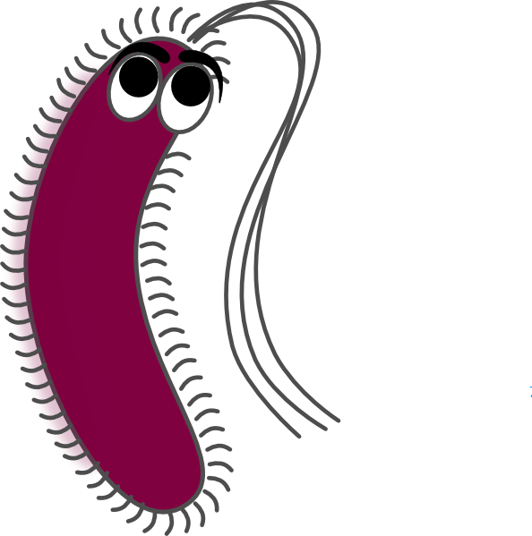 594x599 Gram Positive Clip Art