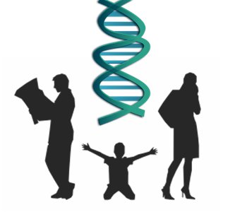 350x300 Clip Art Of Genetics Cliparts