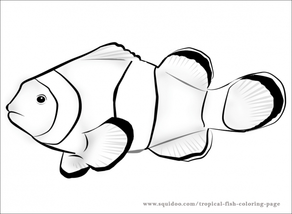 590x434 Fish Black And White Nemo Fish Clipart Black And White