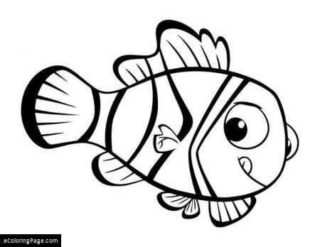 450x348 Finding Dory Coloring Page Printable Coloring