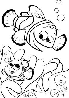 236x336 Best Finding Nemo Fish Tank Ideas Dory Fish