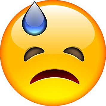 355x355 Smiley Face Emoji