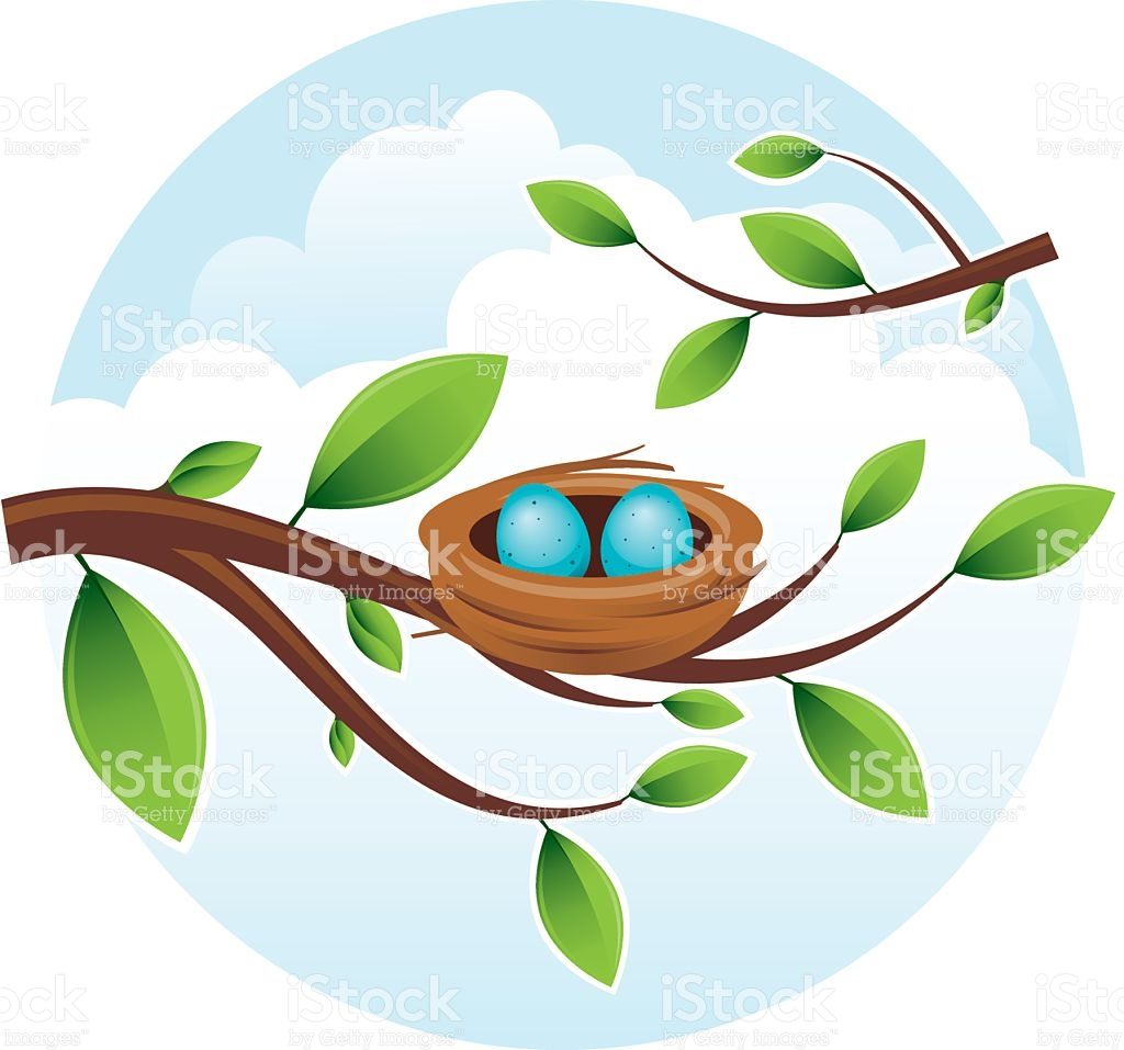 1024x957 Stylish Design Nest Clipart Bird Clip Art Vector Images