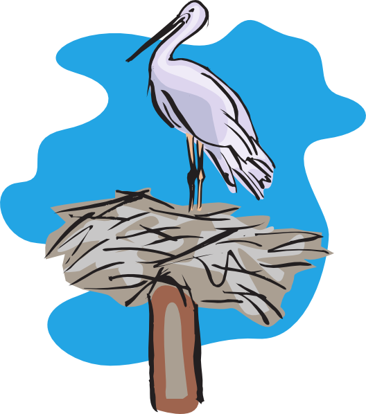 528x598 Bird Standing On Nest Clip Art