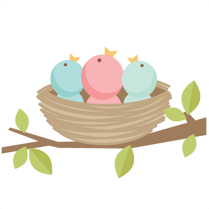 432x432 Nest Clipart Cute
