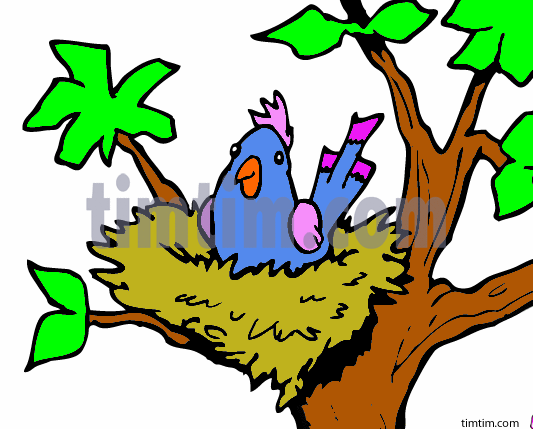 533x429 Nest Clipart Tree Drawing
