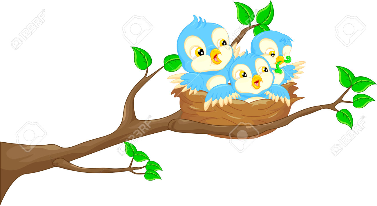 1300x712 Bird's Nest Clipart Owl Nest