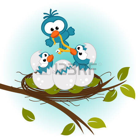450x450 Bird's Nest Clipart Vector