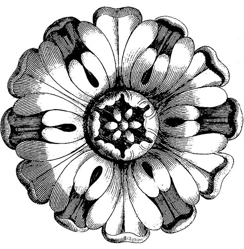 489x500 Victorian Clip Art Bird Nest With Yarn Clipart Panda