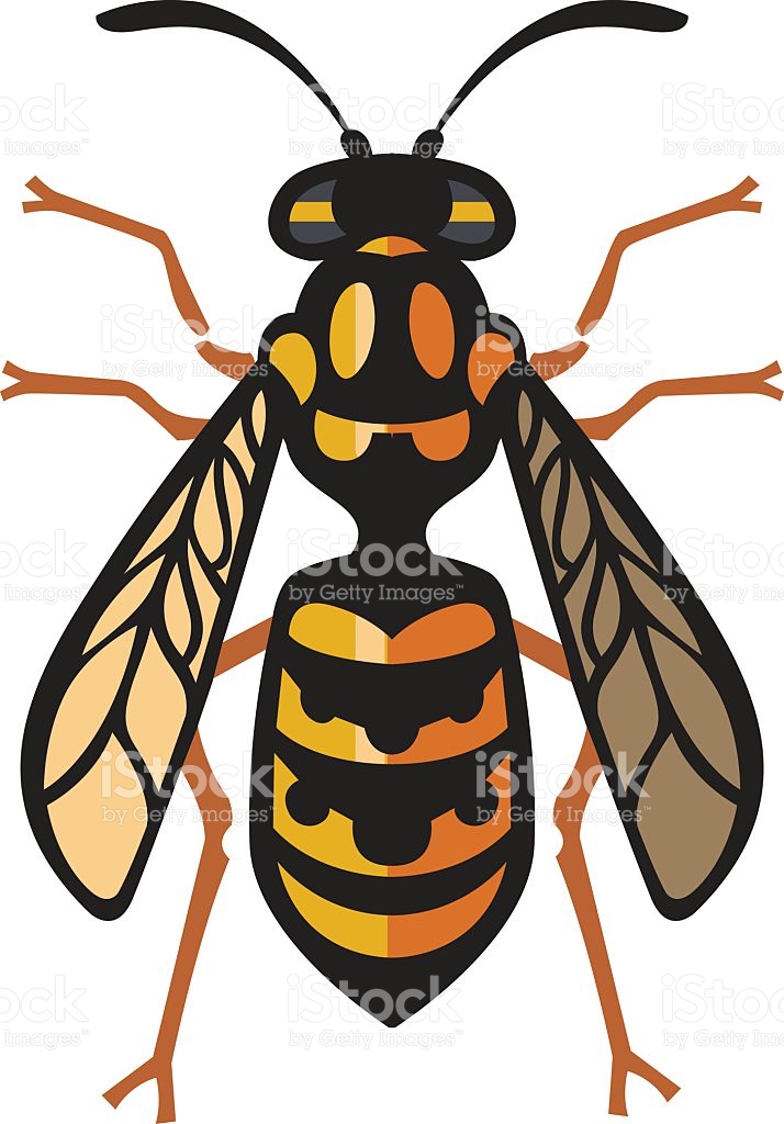714x1024 Wasp Nest Clipart