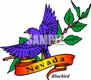 300x263 State Bird Of Nevada