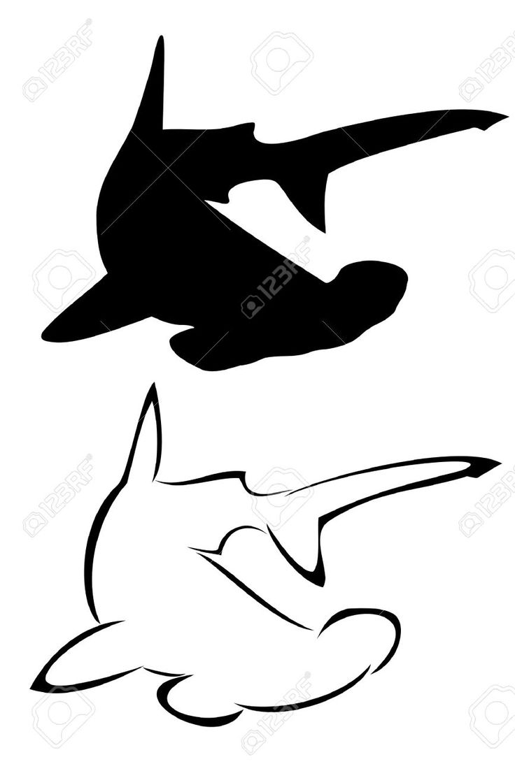 736x1103 Hammerhead Shark Clipart New Jersey