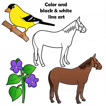 350x350 New Jersey State Symbols And Map Clipart By Maps Of The World Tpt