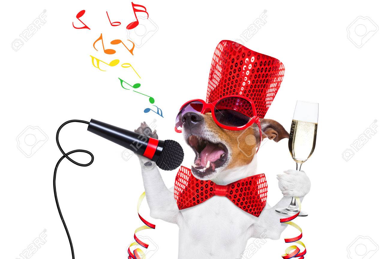 1300x866 Happy New Year Dog Images Amp Stock Pictures. Royalty Free Happy New