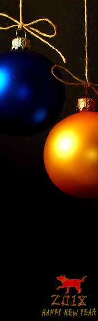 200x655 Christmas And New Year Cards New Year's Eve Winter 38049