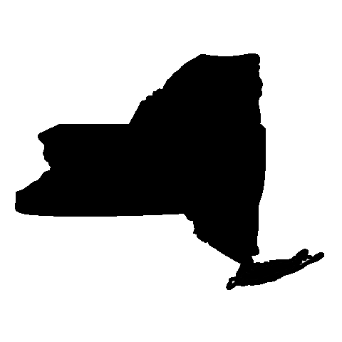 480x480 New York State Map Clipart