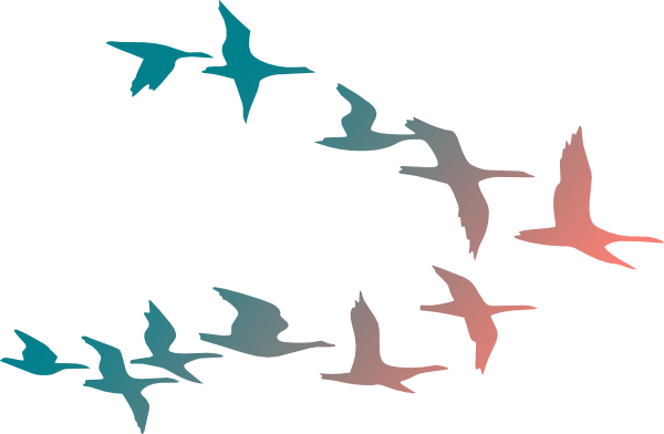 600x392 Birds In Flight Clip Art
