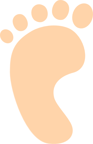 384x592 Newborn Screening Foot Clip Art