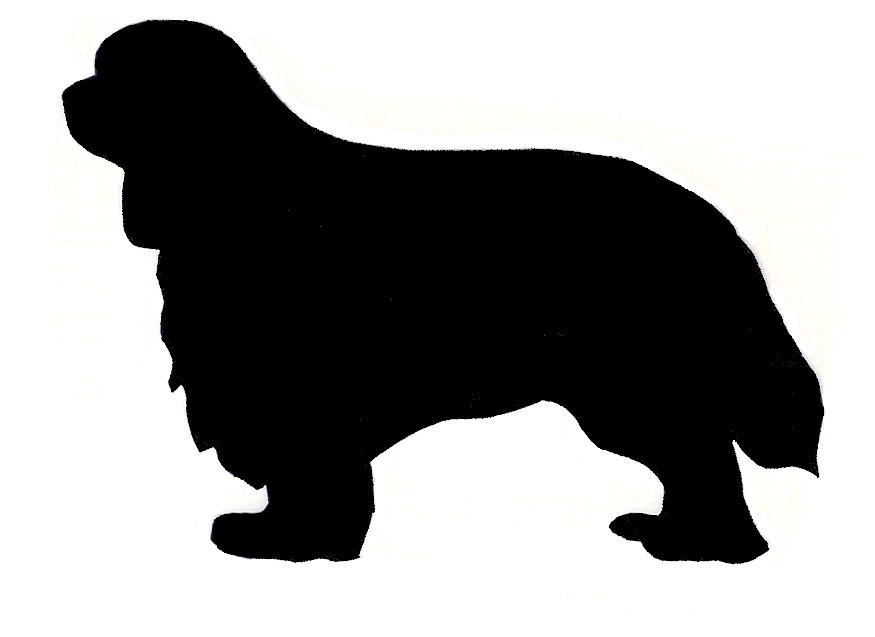 875x637 Border Collie Clipart Silhouette